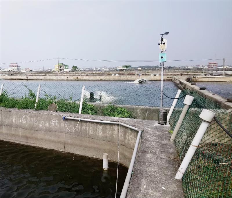 智慧養殖生產區示範場-陳志*