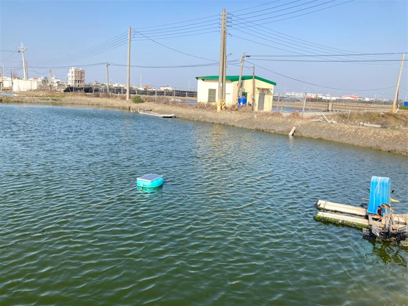 智慧養殖-陳建*案場